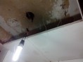 /album/conjugado-rua-do-riachuelo-centro-r-j-/img-20131011-220654-jpg/